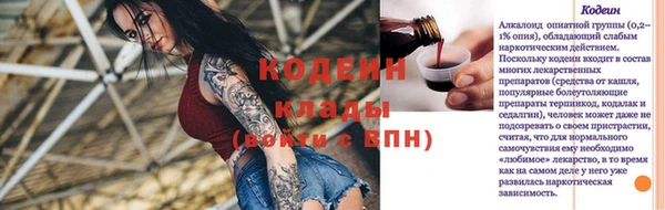 хмурый Алзамай
