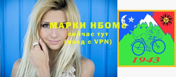 хмурый Алзамай