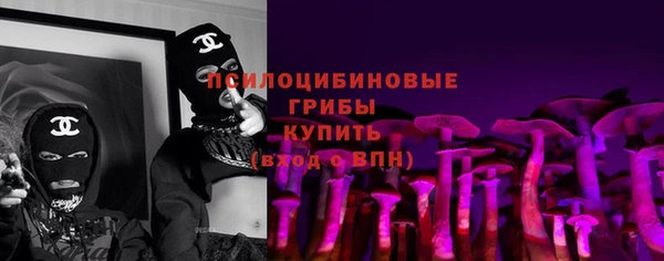 бошки Алексин
