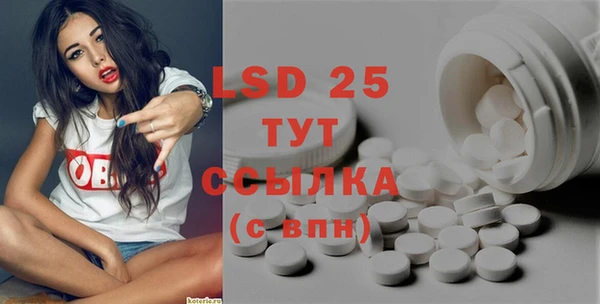 хмурый Алзамай