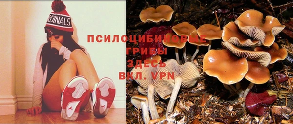 экстази Алексеевка
