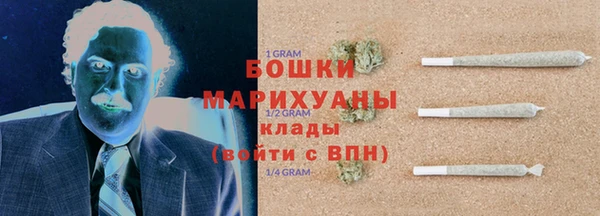 хмурый Алзамай