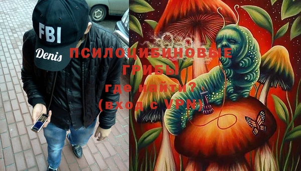 хмурый Алзамай