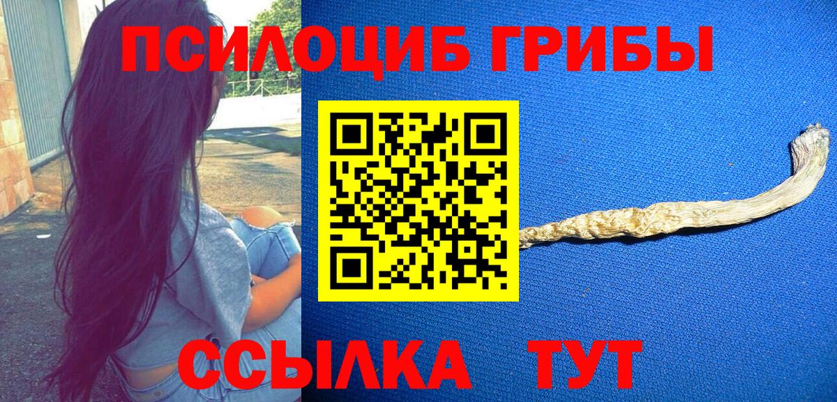 Псилоцибиновые грибы Psilocybine cubensis  Вход с VPN  как найти   Алексин 