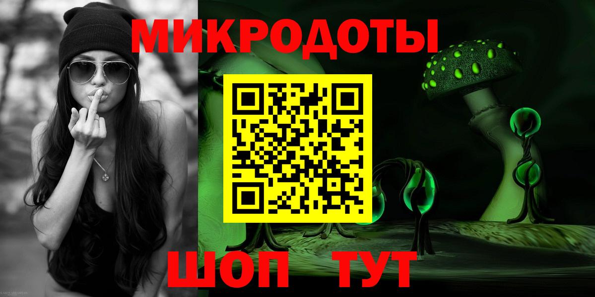 Галлюциногенные грибы Psilocybe Алексин